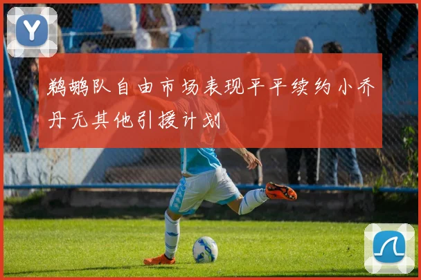 鹈鹕队自由市场表现平平续约小乔丹无其他引援计划