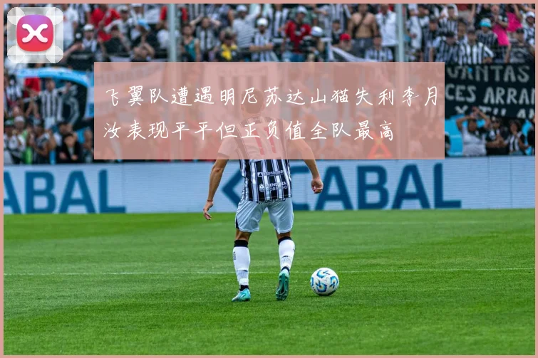 飞翼队遭遇明尼苏达山猫失利李月汝表现平平但正负值全队最高