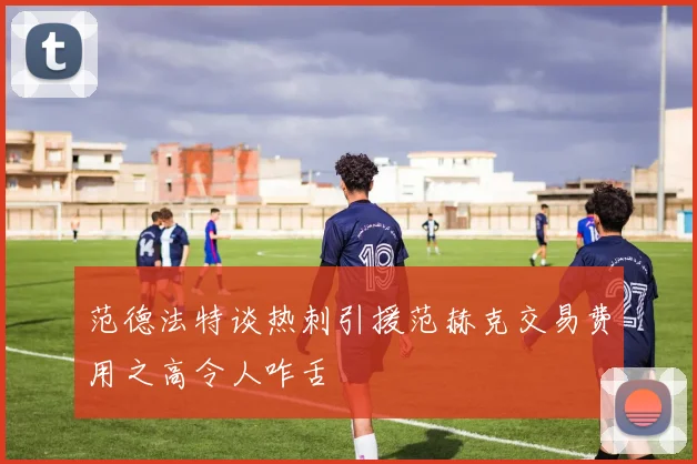 范德法特谈热刺引援范赫克交易费用之高令人咋舌